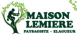 elagage-maison-lemiere